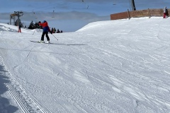 Marvin_IMG_3534.jpeg_compressed