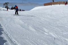 Marvin_IMG_3535.jpeg_compressed