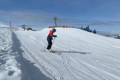 Marvin_IMG_3536.jpeg_compressed