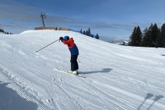 Marvin_IMG_3537.jpeg_compressed