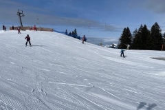 Marvin_IMG_3538.jpeg_compressed