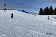 Marvin_IMG_3539.jpeg_compressed