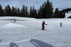 Marvin_IMG_3540.jpeg_compressed