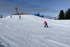 Marvin_IMG_3541.jpeg_compressed