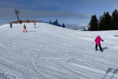 Marvin_IMG_3542.jpeg_compressed