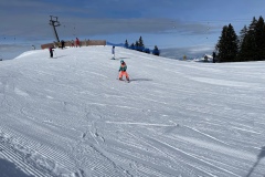 Marvin_IMG_3543.jpeg_compressed