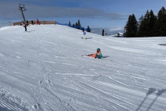 Marvin_IMG_3544.jpeg_compressed