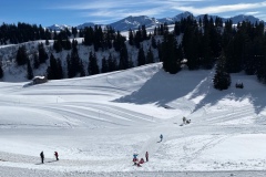 Nina_IMG_6971.jpeg_compressed