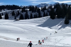 Nina_IMG_6973.jpeg_compressed