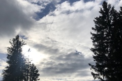 9BE54154-120F-4D24-AEBA-E72800B440C1