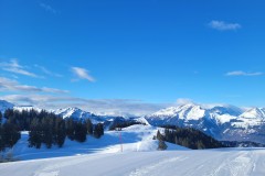 Alessia_20250210_093116.jpg_compressed