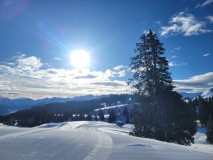 Alessia_20250210_093128.jpg_compressed