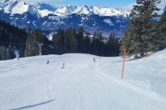 Alessia_20250210_110722.jpg_compressed