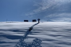 Aline_IMG_5785.jpeg_compressed