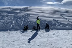 Aline_IMG_5791.jpeg_compressed