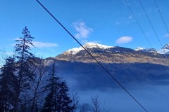 Jan_20250210_091818.jpg_compressed