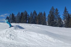 Jan_20250210_131259.jpg_compressed