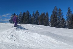 Jan_20250210_131317.jpg_compressed