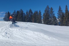 Jan_20250210_131333.jpg_compressed