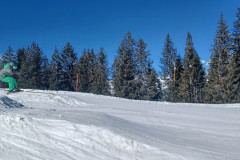 Jan_20250210_131534.jpg_compressed