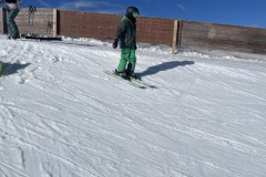 Marvin_IMG_7099.jpeg_compressed