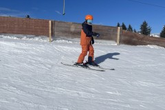 Marvin_IMG_7101.jpeg_compressed