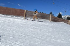 Marvin_IMG_7107.jpeg_compressed