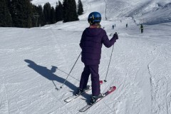 Marvin_IMG_7111.jpeg_compressed