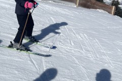 Marvin_IMG_7117.jpeg_compressed