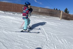 Marvin_IMG_7119.jpeg_compressed