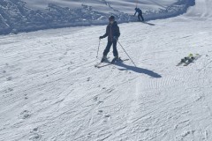 Marvin_IMG_7120.jpeg_compressed