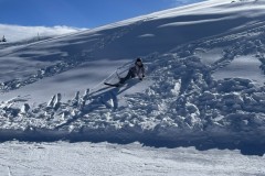 Marvin_IMG_7126.jpeg_compressed