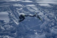 Marvin_IMG_7128.jpeg_compressed