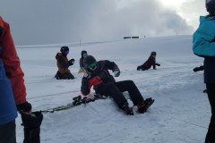 Alessia_20240212_143450.jpg_compressed