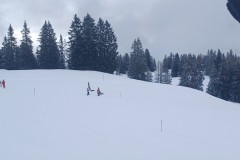 J_20240212_100659.jpg_compressed