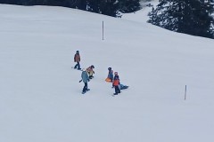 J_20240212_100704.jpg_compressed