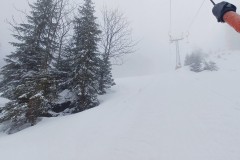 J_20240212_111535.jpg_compressed