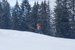 J_20240212_113942.jpg_compressed