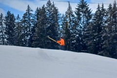 J_20240212_114019.jpg_compressed