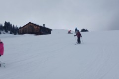 J_20240212_133259.jpg_compressed