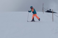 J_20240212_133323.jpg_compressed