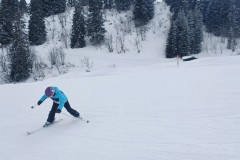 J_20240212_133336.jpg_compressed