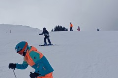 J_20240212_133346.jpg_compressed