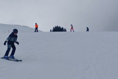 J_20240212_133348.jpg_compressed