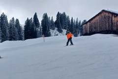 J_20240212_133357.jpg_compressed