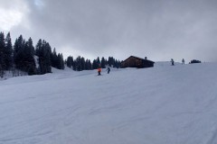 J_20240212_133400.jpg_compressed