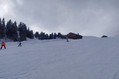 J_20240212_133408.jpg_compressed