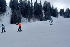 J_20240212_133411.jpg_compressed