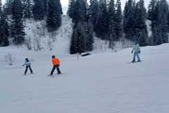 J_20240212_133412.jpg_compressed