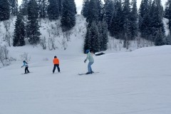 J_20240212_133413.jpg_compressed